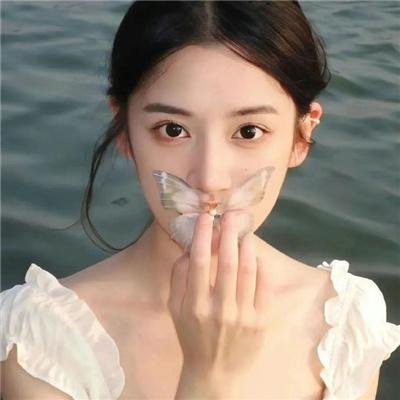 天线宝宝